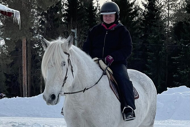 Riding Tour with Finnhorses at Santa Claus Village - Price and Value: Is $126.03 Worth It?