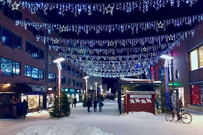 Rovaniemi Guided Tour and Santa Claus Village - Who This Tour Fits Best in Rovaniemi
