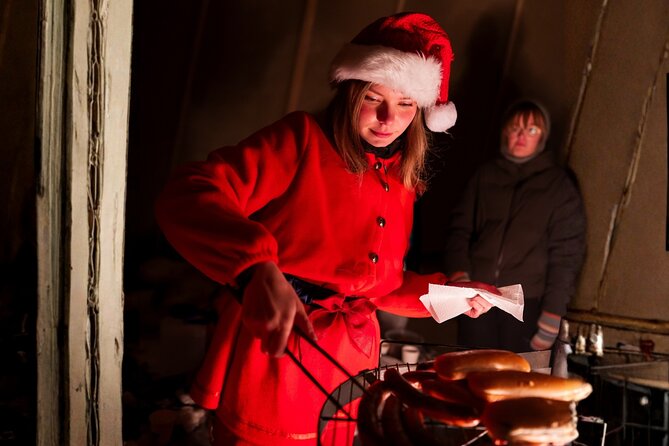 Rovaniemi: Meet Santa Claus & Northern Lights Experience - Northern Lights: what you’re really signing up for