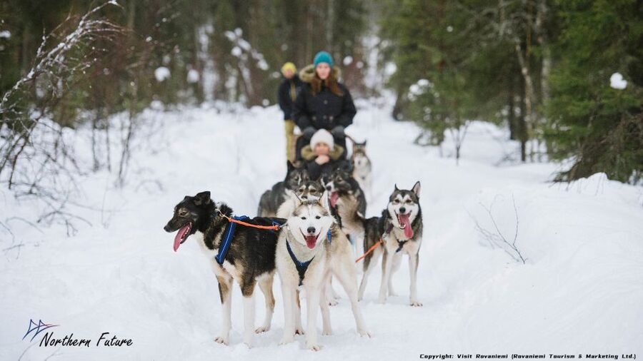 Rovaniemi: Meet Santa Claus, Reindeer Sleigh Ride & Huskies - Key things to know before you go