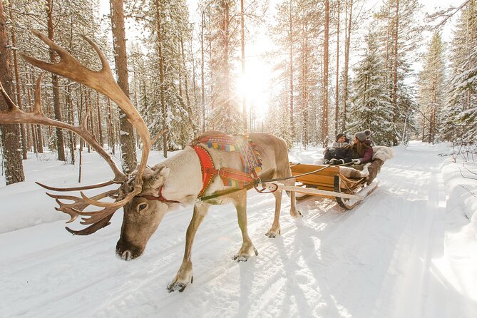 Rovaniemi Santa Claus Village Husky and Reindeer Tour VIP VAN - The VIP van makes winter logistics feel easy