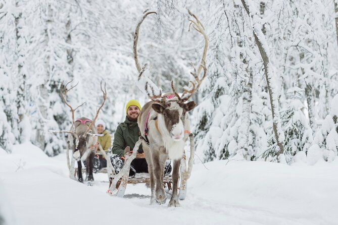 Rovaniemi Santa Claus Village Husky and Reindeer Tour VIP VAN - Price and value: is $287.78 a fair deal?