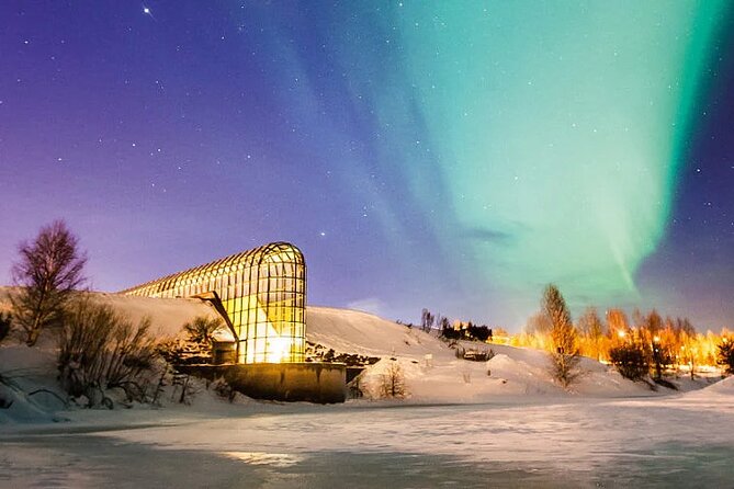 Rovaniemi Santa Claus Village Husky Reindeer Farm Arctic Museum - Rovaniemi in one day: a smart hit of Lapland