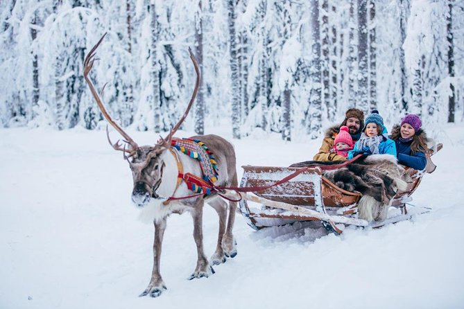 Rovaniemi Santa Claus Village Husky Reindeer Farm Arctic Museum - Arktikum Arctic Museum: the best payoff after the rides
