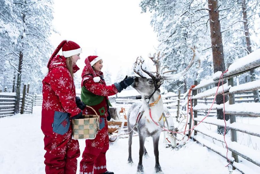 Rovaniemi: Visit to Santa's reindeer farm with reindeer ride - Meeting at Santa Claus Safaris Elf Adventure Center (and what to do first)
