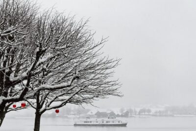 Salzburg Christmas Markets Day Trip from Vienna - Mondsee in 15 Minutes: Pretty Alpine Center Time