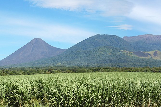 Santa Ana Volcano and Lake - An Unforgettable Journey - Guides you can hope for: how they shape the day