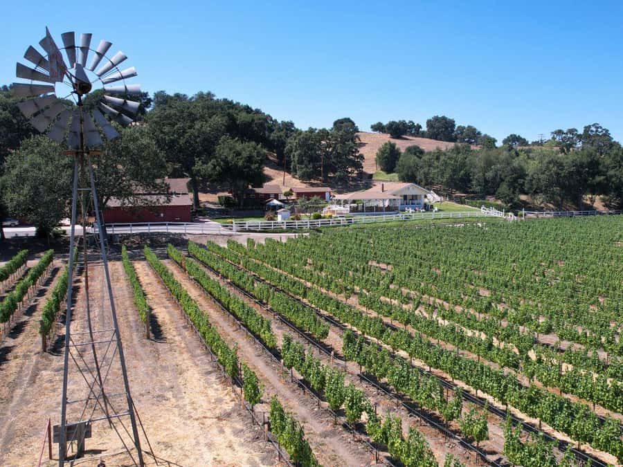 Santa Barbara: 3-Winery Tour Includes Tastings & Lunch inSYV - The Host Role: More Than Just Driving