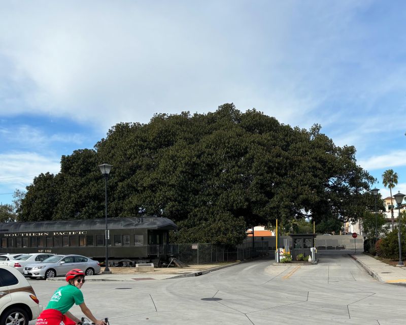 Santa Barbara: Guided Tour on electric bikes (private) - Stearns Wharf and the dolphin fountain: classic sights, guided correctly