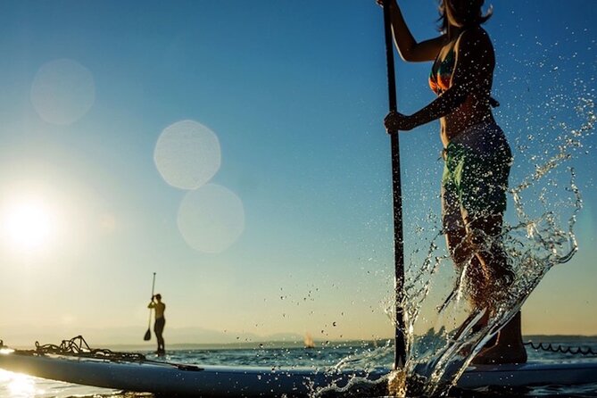 Santa Barbara Kayak or Stand Up Paddle Rental - Price and value: $30 per group for an hour on the water