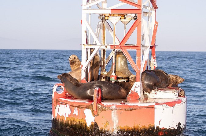 Santa Barbara Narrated Coastal Yacht Experience - Who This Cruise Fits Best (And Who Might Want Another Option)