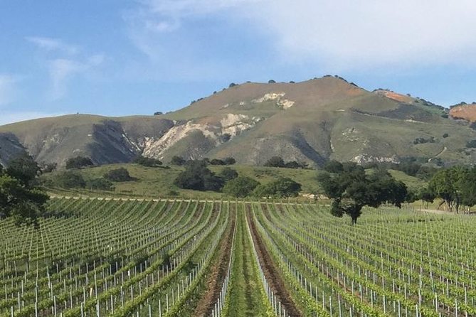Santa Barbara's Original Afternoon Winery Tour - Los Olivos Stop: Village Time Between Tastings