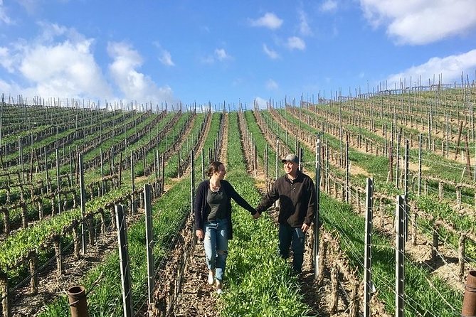 Santa Barbara Small-Group Wine Tour to Private Estates & Wineries - The part that keeps you from getting hangry: lunch and cheese