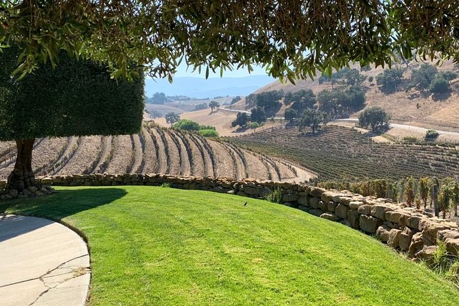 Santa Barbara Vineyard to Table Taste Tour by E-Bike - Rancho Olivos olive oil tasting: a palate you’ll keep thinking about