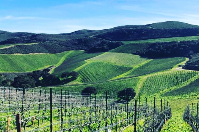 Santa Barbara Wine Country Tour - Group Size and the Shared-Tour Reality