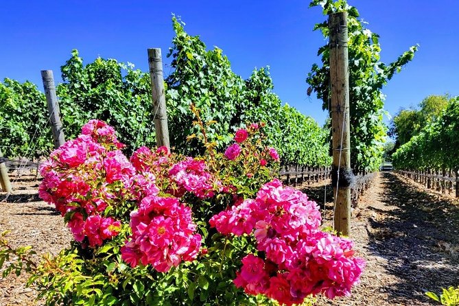 Santa Barbara Wine Tasting Day Tour from Los Angeles - Cachuma Lake and Los Padres Views: The Drive That’s Part of the Attraction