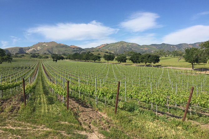 Santa Barbara Wine Tour Experience - Authentic and Boutique - Santa Barbara Wine Country, Built for Relaxed Late Mornings