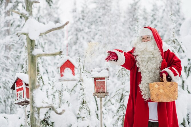 Santa Claus Combo: Visit Santa Claus Village and Santa Park in One Day - Santa Claus Village Highlights: Santa, Reindeer, and Time to Explore
