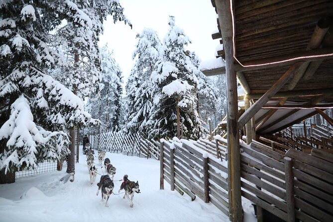 Santa Claus Village, Husky and Reindeers Combo Safari - From City Pickup to Arctic Circle: how this 4-hour plan works