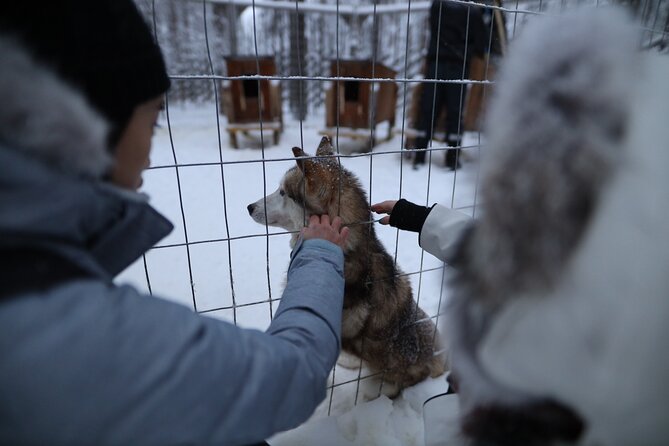 Santa Claus Village, Husky and Reindeers Combo Safari - Pickup, timing, and group size: the logistics that make or break it