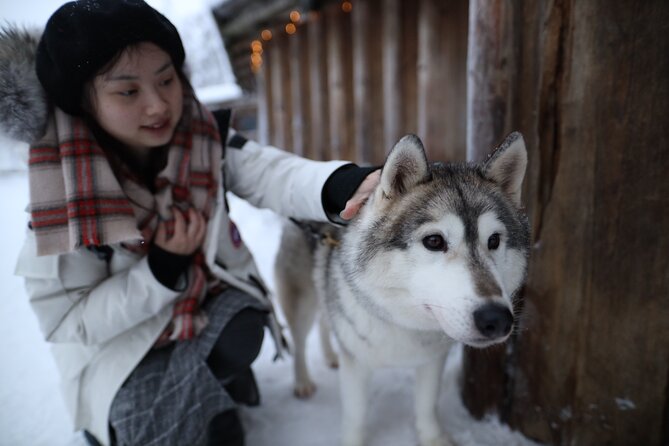 Santa Claus Village, Husky and Reindeers Combo Safari - Who should book this combo, and who should rethink it