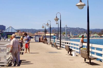 Santa Cruz Guided eBike Ride & Most Fun Bike e-Bike Tour - Natural Bridges State Beach: wildlife viewing without the long hike