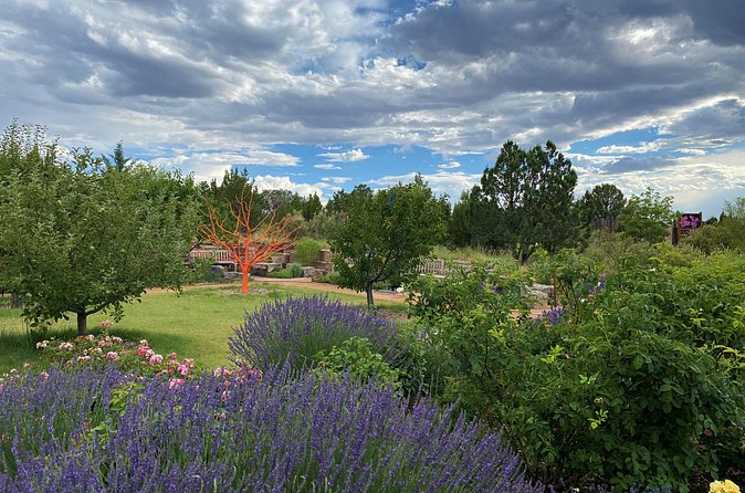 Santa Fe Botanical Garden General Admission Ticket - Meadow Garden seasonal wildflowers—and why timing helps