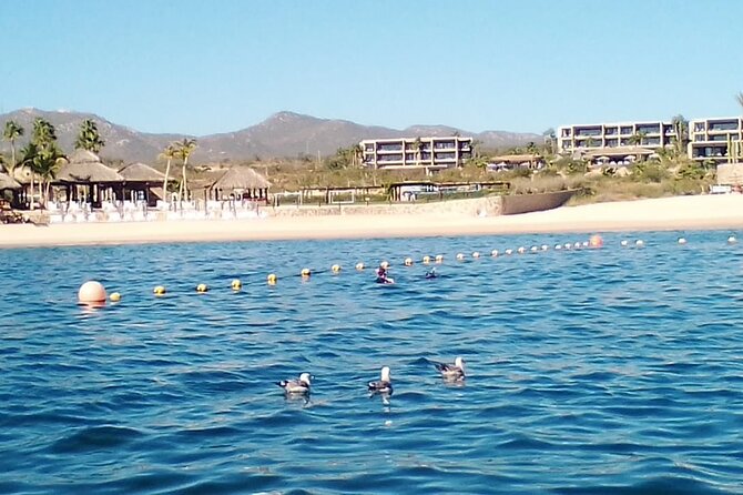 Santa Maria and Chileno Bay Snorkel Adventure Los Cabos - Santa Maria Meets Chileno: Why This Two-Bay Snorkel Works