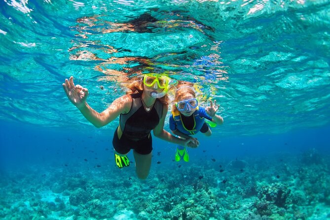 Santa Maria and Chileno Bay Snorkel Adventure Los Cabos - Marina Meet-Up and the Small-Boat Reality You Should Plan For