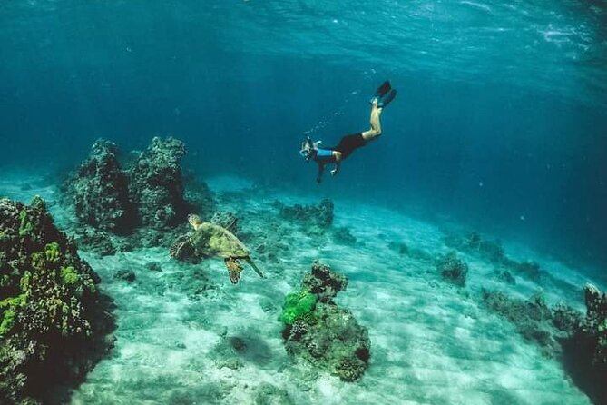 Santa Maria and Chileno Bay Snorkel Adventure Los Cabos - Who This Snorkel Adventure Fits Best (and Who Should Think Twice)