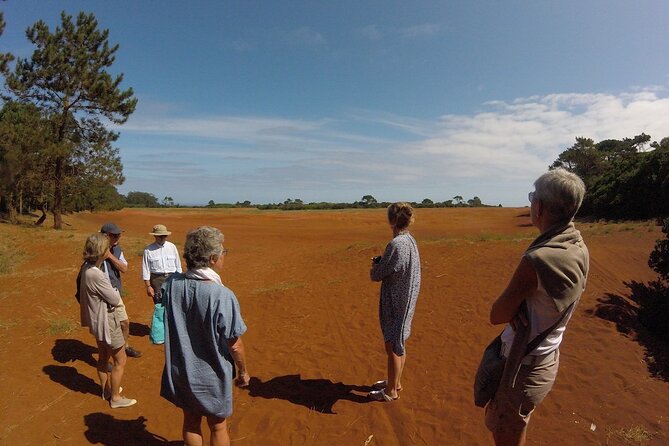 Santa Maria Island Jeep Safari Full Day Tour - Miradouro das Lagoinhas: architecture pride plus a paid viewpoint