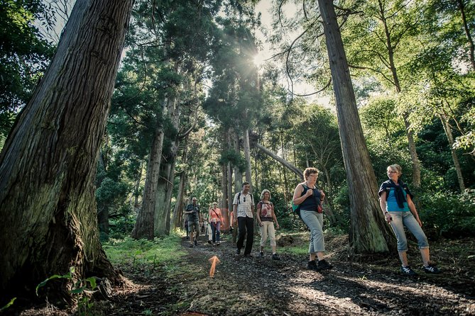 Santa Maria - Walking Tour Guide - Who should book this Santa Maria walking tour