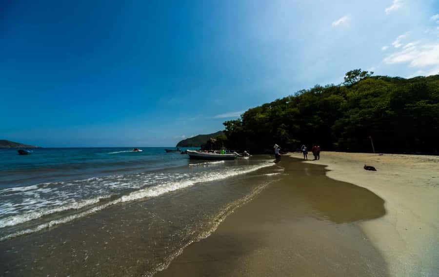 Santa Marta and Tayrona Park Day Trip - Conservation Talk and Park Rules: Why It’s Worth Paying Attention