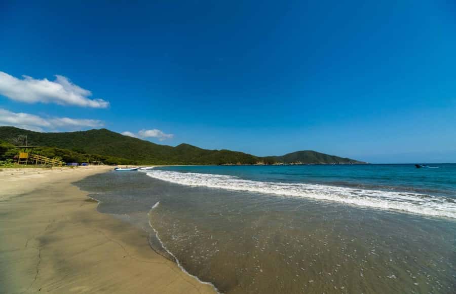 Santa Marta and Tayrona Park Day Trip - Early Pickup and the Santa Marta Start (Where the Day’s Pace Is Set)