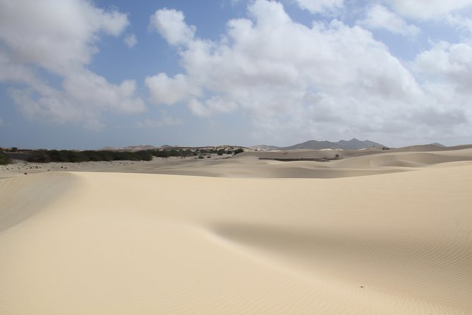 Santa Monica NO Stress Tour - Why This Tour Feels Easy on Boa Vista