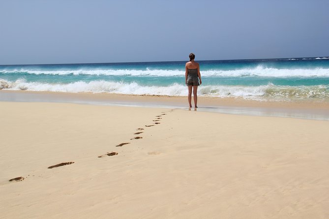 Santa Monica NO Stress Tour - Santa Monica Beach: White Sand, Swim Time, and Snorkeling Masks