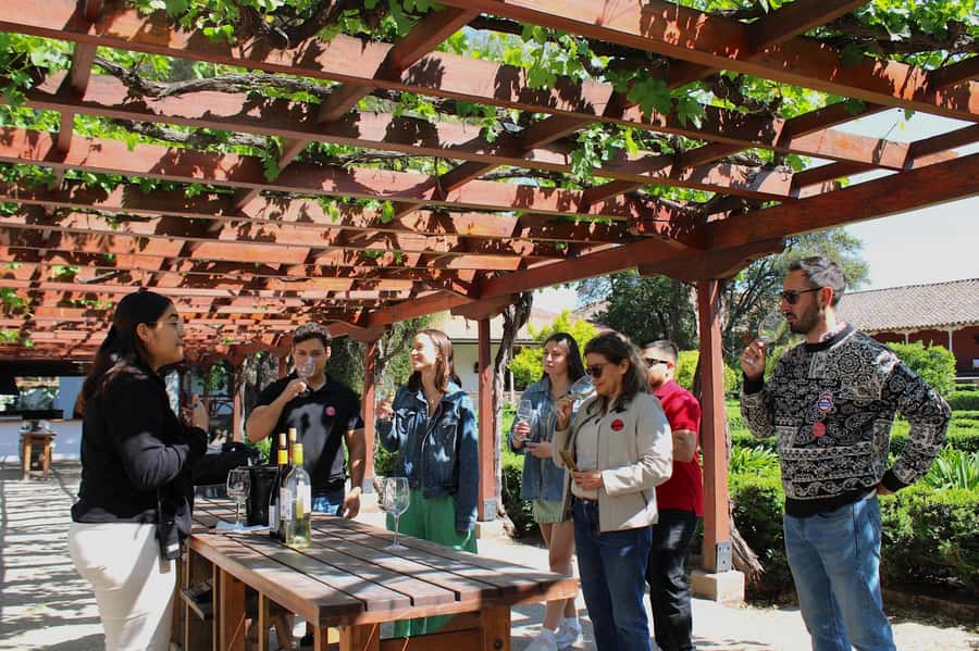 Santa Rita Vineyard Tour with Lunch, an Unforgettable Day! - Why Viña Santa Rita is a classic for a full-day wine + culture mix