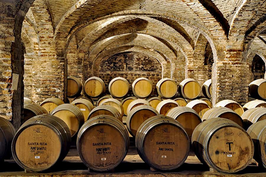 Santa Rita Vineyard Tour with Lunch, an Unforgettable Day! - Who should book this tour, and who might want to skip