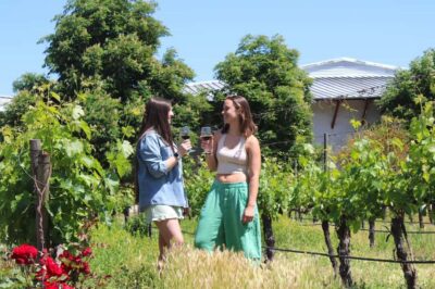Santa Rita Vineyard Tour with Lunch, an Unforgettable Day! - Centennial Park and the Neo-Gothic Chapel: greenery with a big-photo payoff
