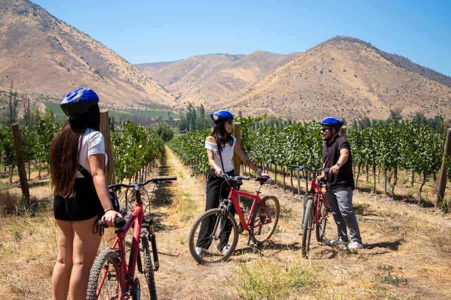 Santa Rita Vineyard Tour with Lunch, an Unforgettable Day! - Optional bike tour through the vineyards: scenic, guided, and time-boxed