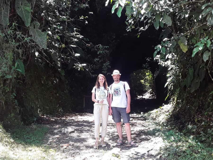 Santa Rita Waterfall and Salento Private Tour - The Hike Route: Mud Roads, Old Tunnels, and Forest Life