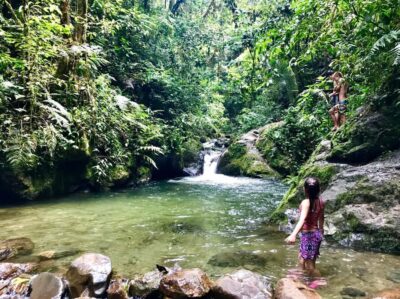 Santa Rita Waterfall and Salento Private Tour - Coffee Triangle 101 Happens While You’re Still in Nature