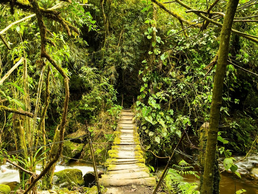 Santa Rita Waterfall and Salento Private Tour - Guides and Pace: Private Means Better Timing and Less Guesswork