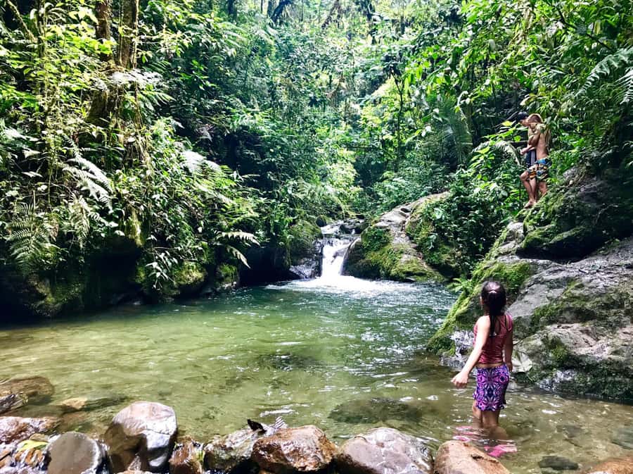 Santa Rita Waterfall and Salento Private Tour - Coffee Triangle 101 Happens While You’re Still in Nature