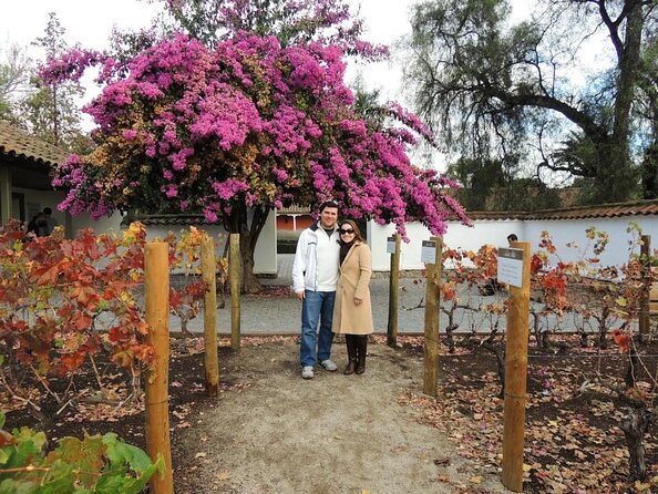 Santa Rita Winery Selection Tour - Key Highlights Worth Planning For