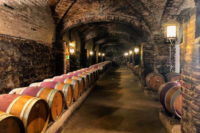 Santa Rita Winery Selection Tour - Group Size, Pacing, and Who This Tour Fits Best