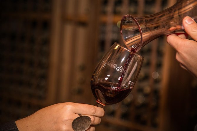 Santa Rita Winery Selection Tour - Your Vineyard Walk: Varietal Garden to Vineyard Roots