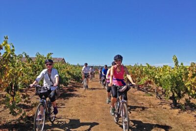 Santa Rosa Bike & Wine Tour - The 12-Mile Loop Works Because It’s Designed for Real People