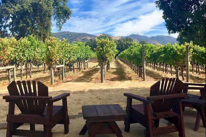 Santa Rosa North Sonoma County Small Group Winery Tour - Hotel Pickup in Santa Rosa: The Real Start of Your Day