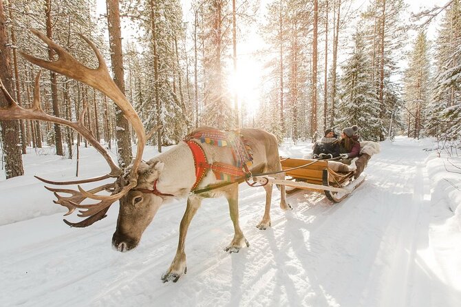Santa's Reindeer & Husky Safari + Aurora BBQ in Rovaniemi - The Santa Claus Area: Free Time Around 12:30